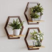 Wood & Floating Plant Shelves (Set of 3) 25×40 cm